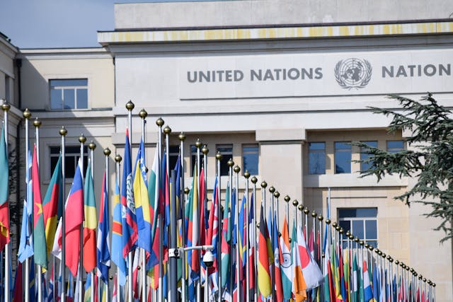 Revised Draft Terms of Reference for a United Nations Framework Convention on International Tax Cooperation 